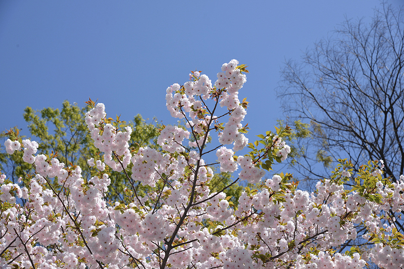 image0297