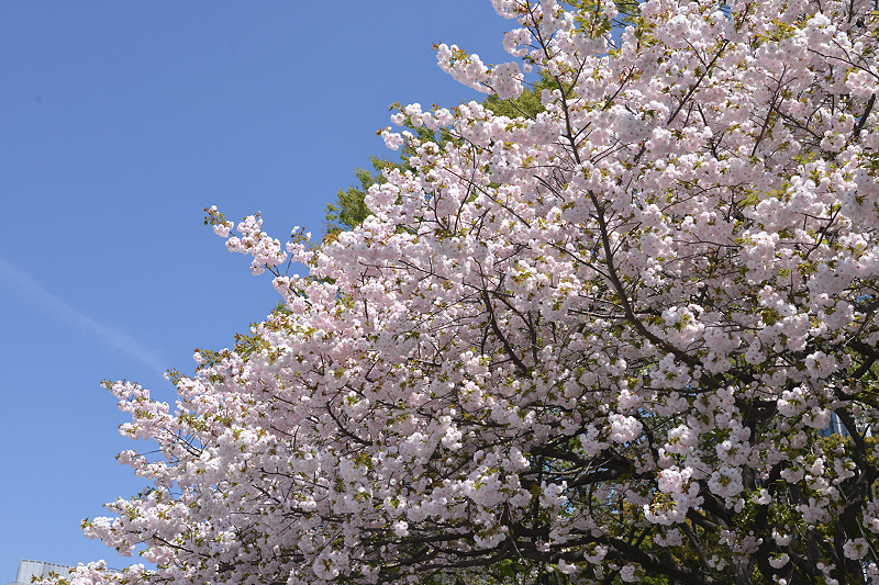image0299