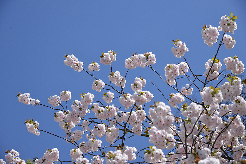image0300