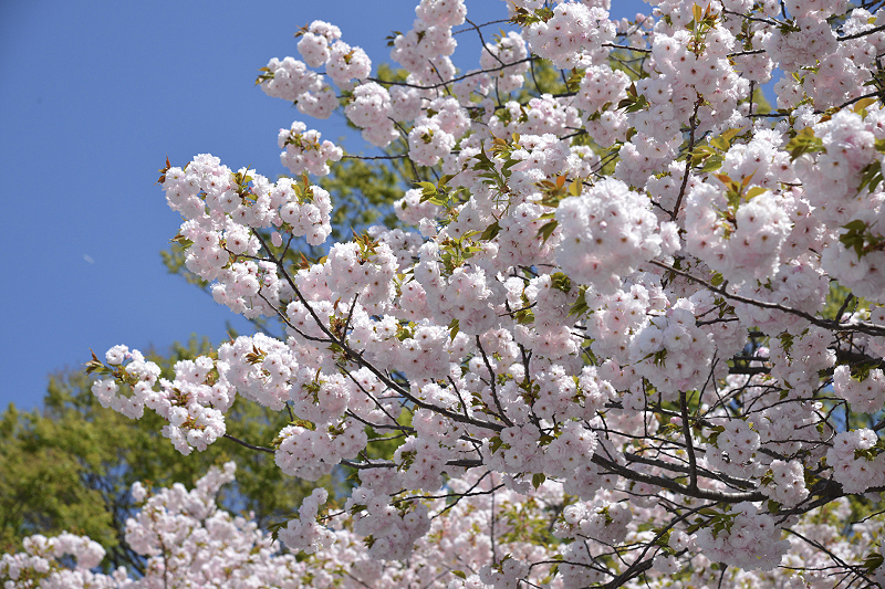 image0301