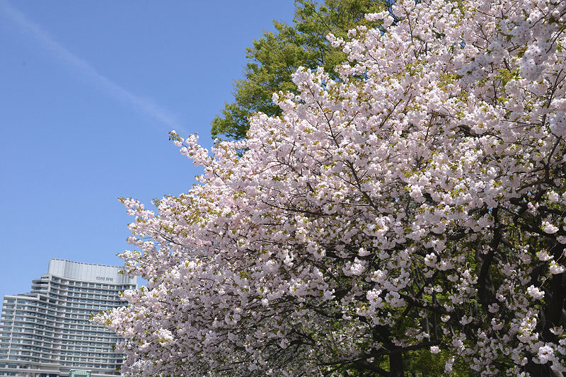 image0302