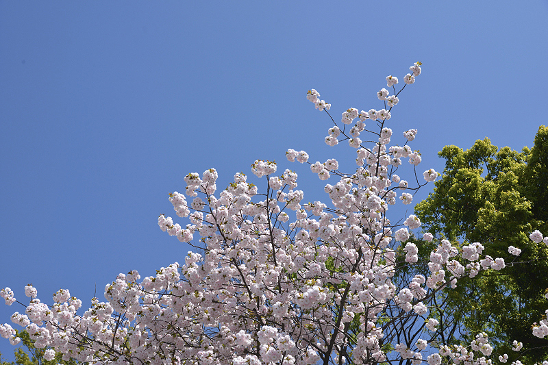 image0303