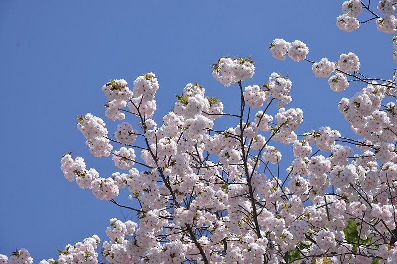 image0304