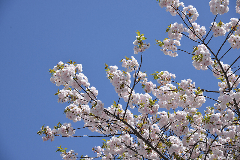 image0306