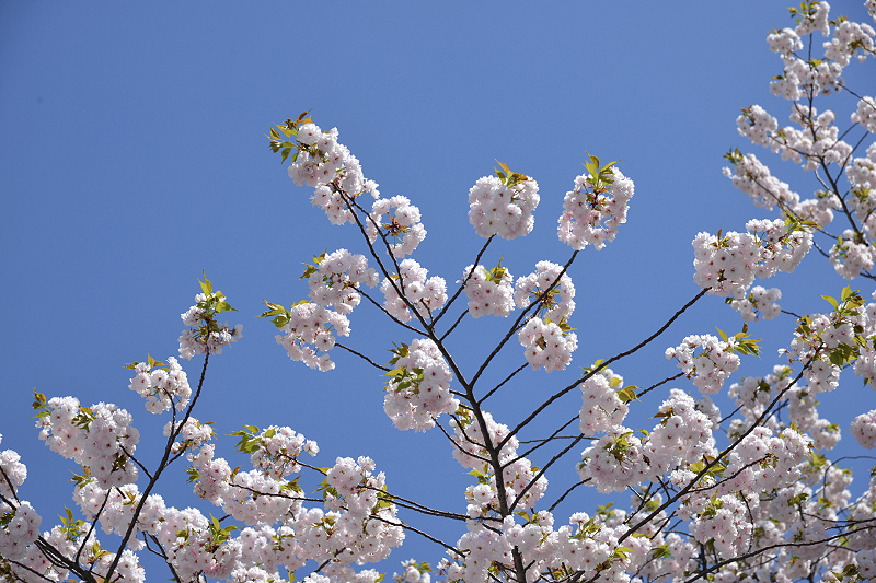 image0307