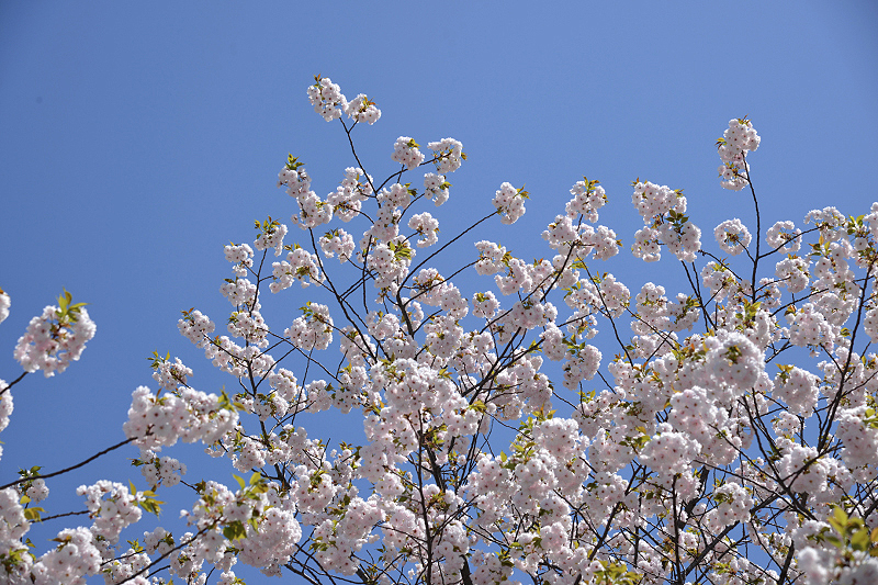 image0308