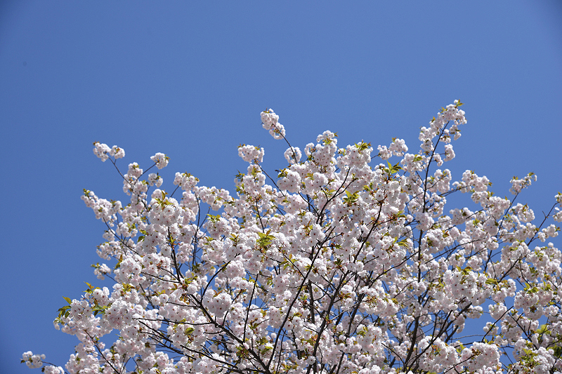 image0309