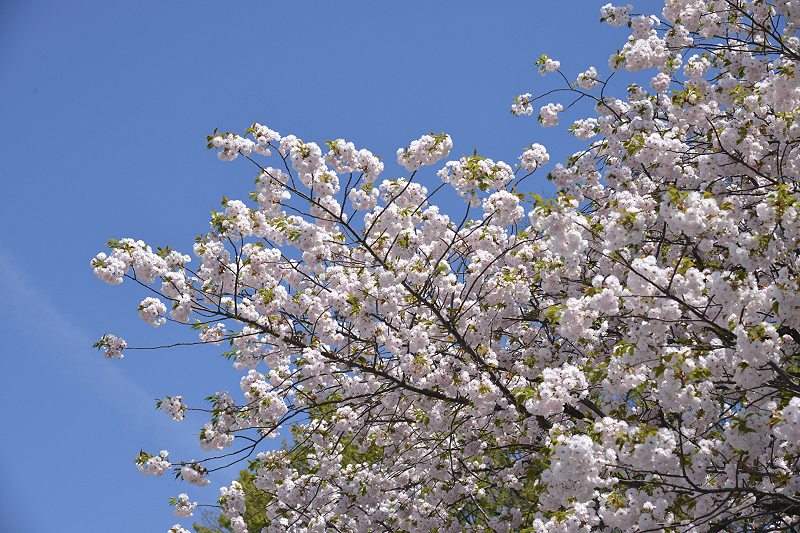image0310