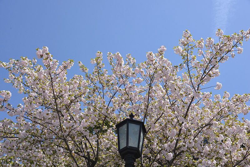 image0312