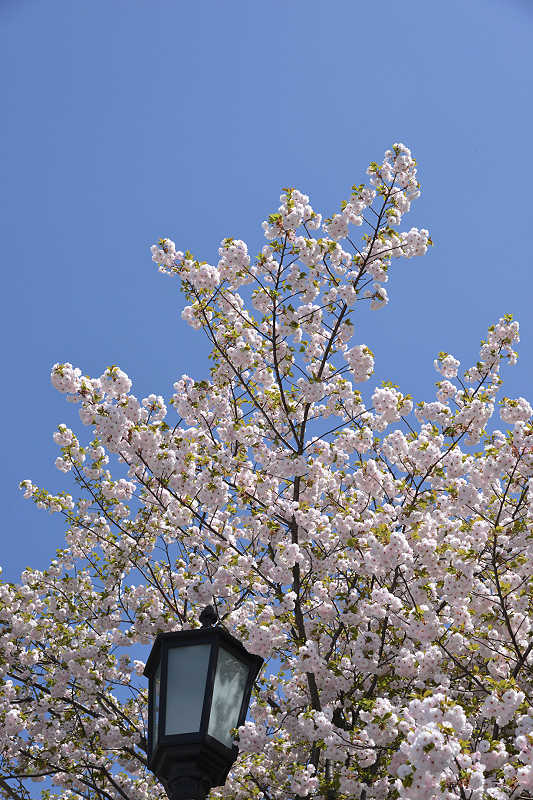 image0313