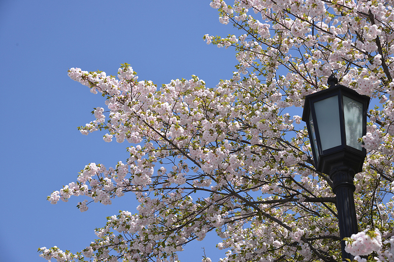 image0315