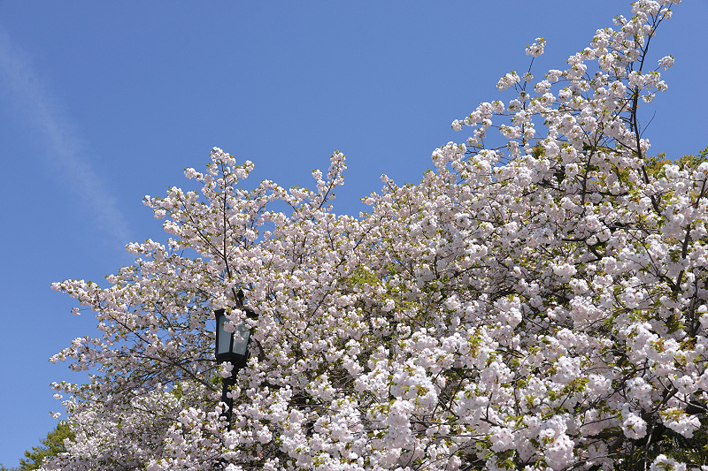 image0316