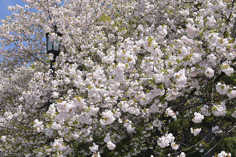 image0317