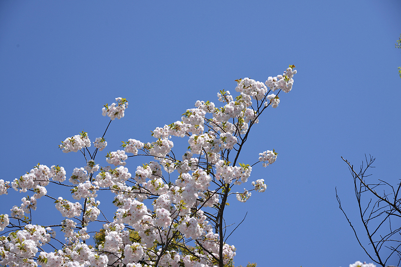 image0318