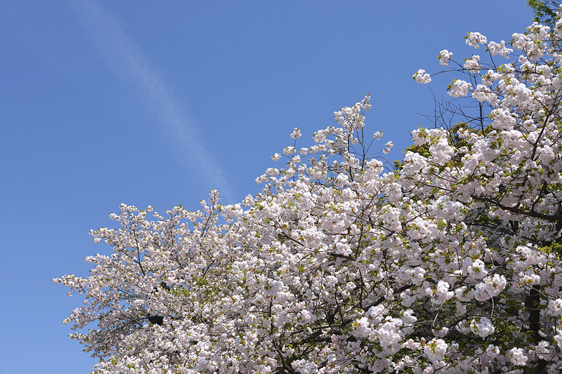 image0319