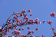 image0105