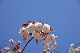 image0115