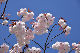 image0122