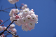 image0132
