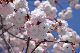image0133