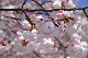 image0134