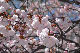 image0136