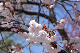 image0138