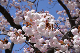 image0139