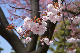 image0141