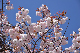 image0142