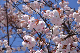 image0143