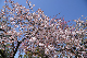 image0144