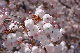 image0146