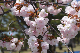 image0147