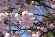 image0149