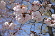 image0157