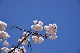 image0159