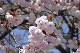 image0166