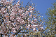 image0167