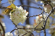 image0170