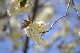 image0171