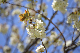 image0172