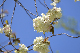 image0173