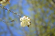 image0175