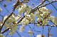 image0176