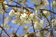 image0177