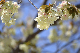 image0178