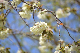 image0179