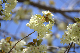 image0182