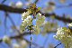image0183